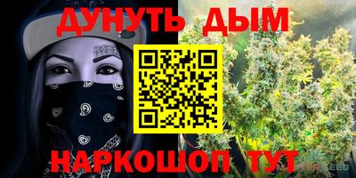 спиды Жуковский